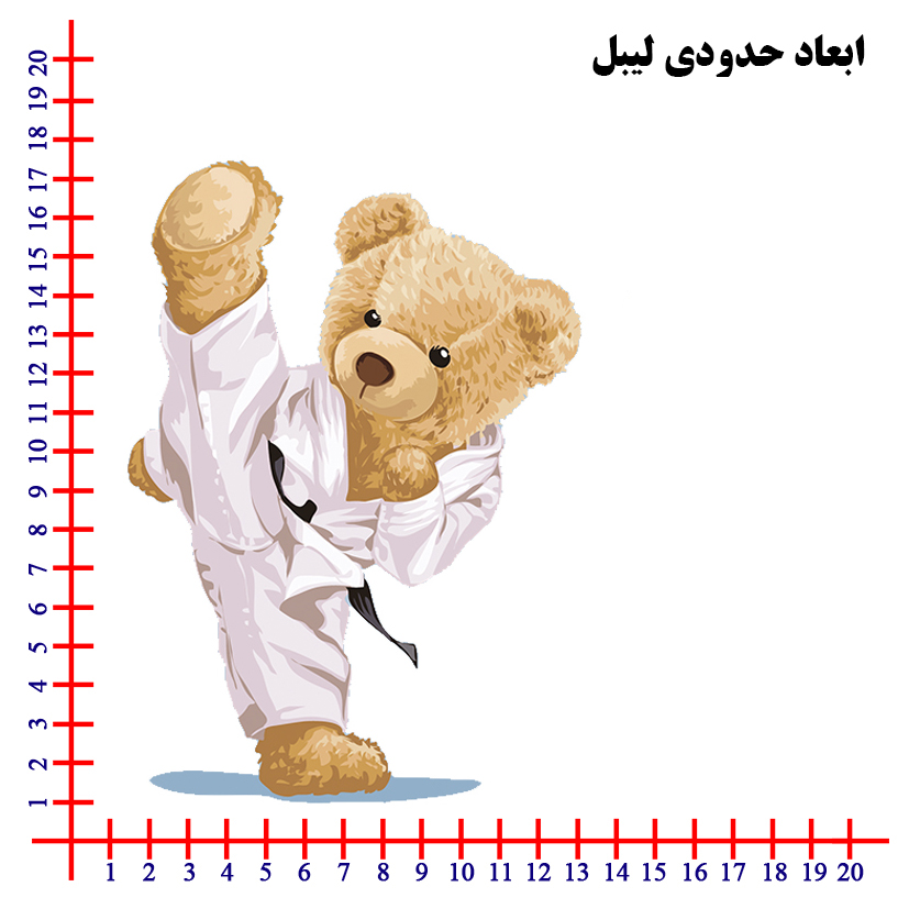 استیکر پارچه و لباس DTF مدل کاراته